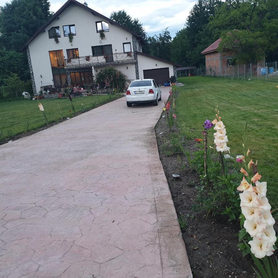 Casa Irina Ξενοδοχείο Horezu Εξωτερικό φωτογραφία